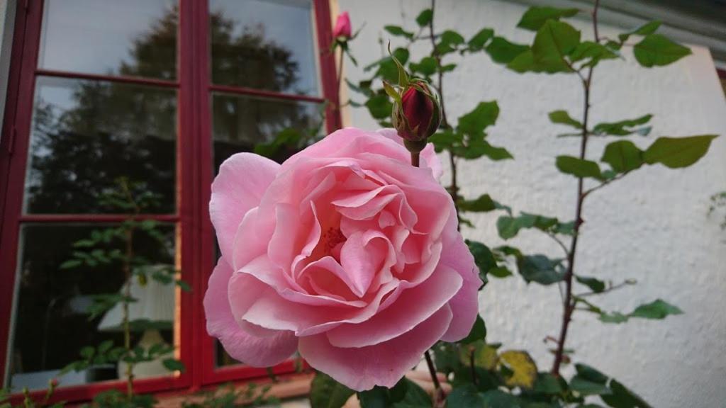 Bo I Remmarloev Bed & Breakfast Eslöv Dış mekan fotoğraf